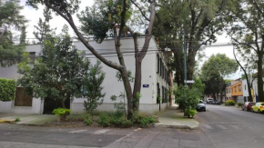 SúperAnfitrión Coyoacán King 1